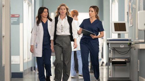 Grey's Anatomy Season 22 Episode 18 - Bridge Over Troubled Water