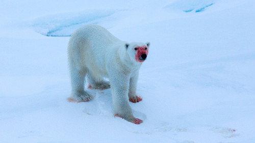 Ut i naturen Season 27 Episode 2 - Episode 2