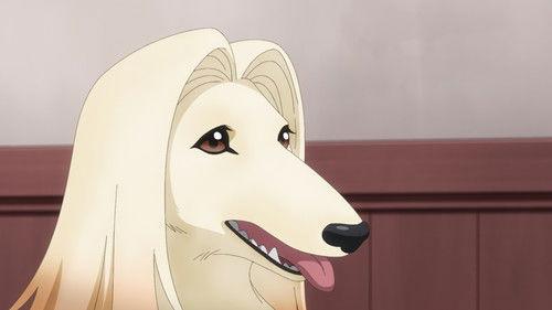 Delusional Monthly Magazine Season 1 Episode 10 - Holy Moly! Fight and a Continental Rising!