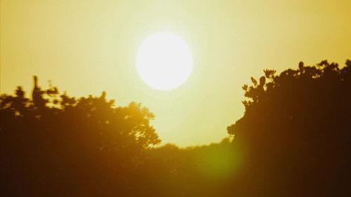 Seasons of the Wild Season 1 Episode 2 - Episode 2