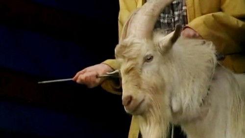 Truckers Season 1 Episode 7 - Episode 7