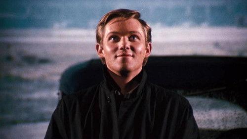 The Waltons Season 5 Episode 19 - The Inferno