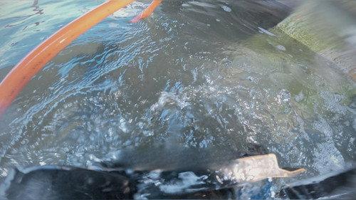 Impossible Repairs Season 4 Episode 3 - Water Work