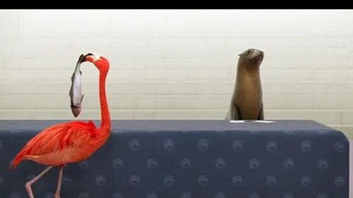 Athleticus Season 1 Episode 25 - Episode 25