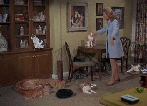 Bewitched Season 5 Episode 20 - Mrs. Stephens, Where are You?