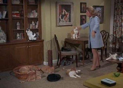 Bewitched Season 5 Episode 20 - Mrs. Stephens, Where are You?