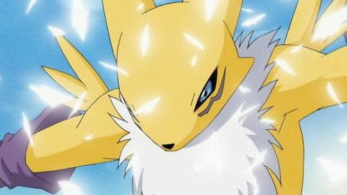 Digimon Tamers Season 1 Episode 3 - To Fight or Not to Fight