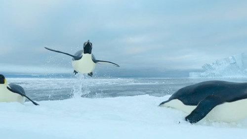 Our Oceans Season 1 Episode 5 - Southern Ocean