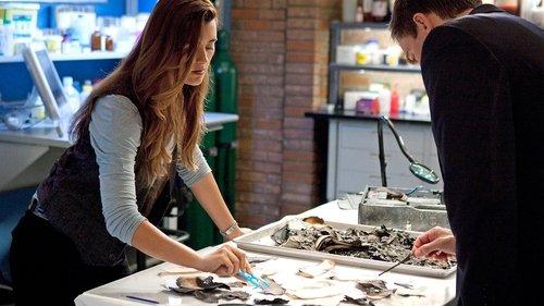 undefined Season 8 Episode 19 - Tell-All