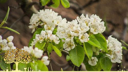 Gardeners' World Season 55 Episode 7 - Episode 7