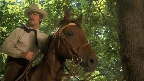 McCloud Season 1 Episode 3 - Manhattan Manhunt (1) (or Horse Stealing on Fifth Avenue)