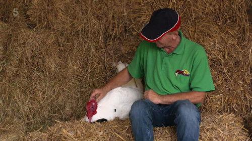 Happy Campers: The Caravan Park Season 3 Episode 3 - Episode 3