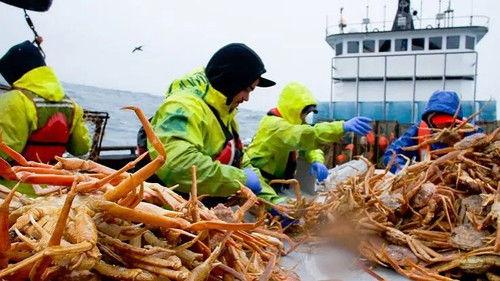 Deadliest Catch Season 16 Episode 21 - End of The Beginning