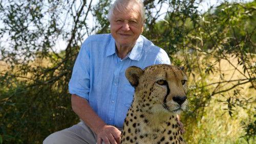 David Attenborough's Natural Curiosities Season 3 Episode 1 - Impossible Feats