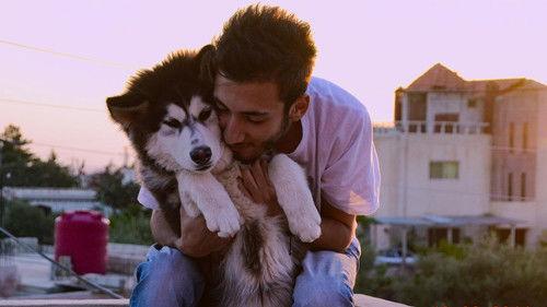 Dogs Season 1 Episode 2 - Bravo, Zeus