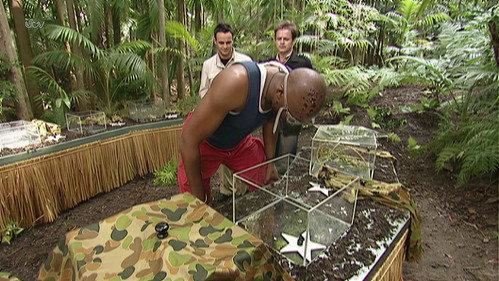I'm a Celebrity...Get Me Out of Here! Season 2 Episode 7 - Bobbing For Stars