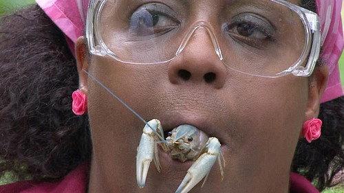 I'm a Celebrity...Get Me Out of Here! Season 10 Episode 14 - The Dentalist