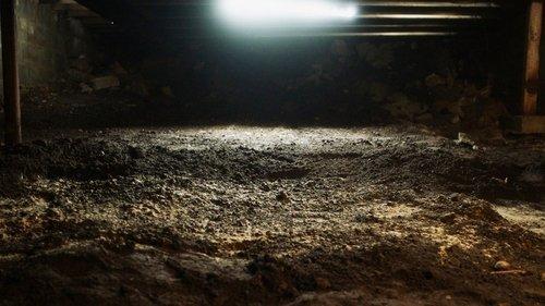 Background image for The Trigger