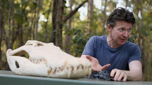 Bushwhacked! Season 1 Episode 8 - Saltwater Crocodiles