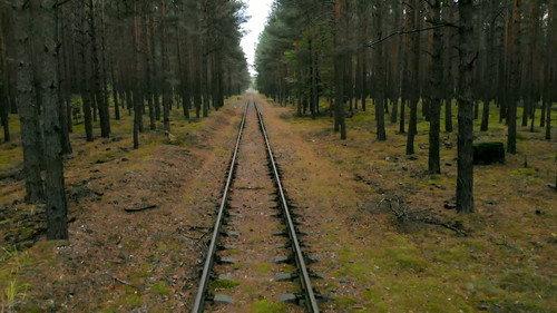 What on Earth? Season 7 Episode 1 - Nazi Doomsday Forest