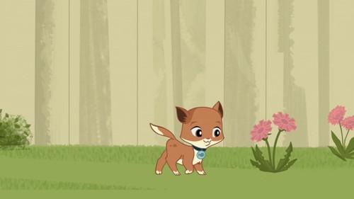 Grossology Season 1 Episode 8 - Go Fish