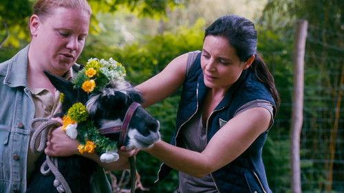 Tierärztin Dr. Mertens Season 5 Episode 6 - Episode 6