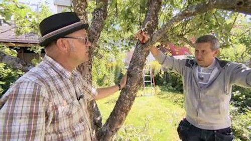 Äntligen hemma Season 34 Episode 2 - Del 2 av 12