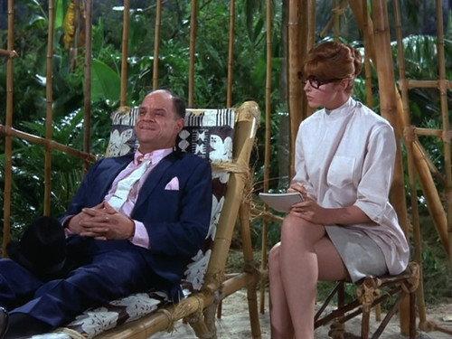 Gilligan's Island Season 3 Episode 12 - The Kidnapper