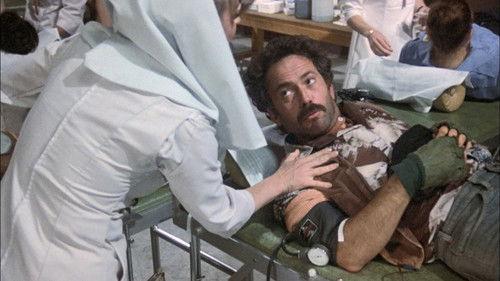 Hill Street Blues Season 1 Episode 15 - Rites of Spring (2)