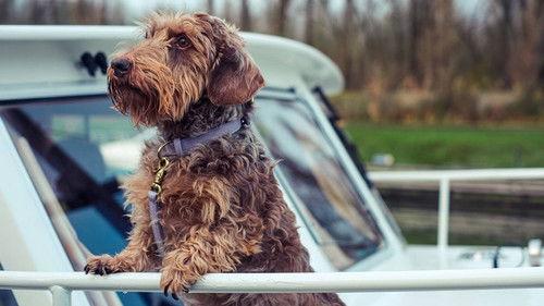 Background image for Episode 2