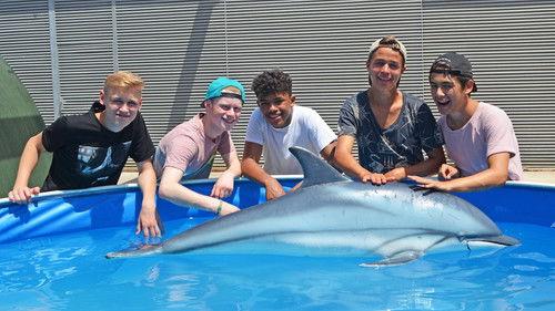 Die Jungs-WG Season 5 Episode 3 - Episode 3