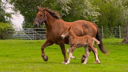 Countryfile Season 34 Episode 24 - County Down