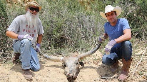 Ben Fogle: New Lives in the Wild Season 1 Episode 4 - Texas