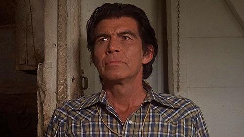 undefined Season 2 Episode 4 - Rainbow's End