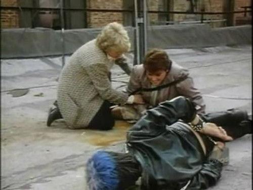 Cagney & Lacey Season 6 Episode 20 - Happiness is a Warm Gun