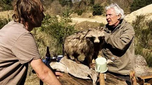 Kill & Eat Season 14 Episode 7 - En mårhund i Sønderjylland