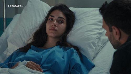 Olive Land Season 3 Episode 12 - Episode 12