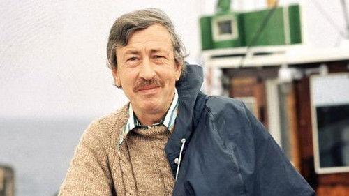 Background image for Kollision