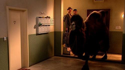 Hausmeister Krause – Ordnung muss sein Season 2 Episode 15 - Episode 15