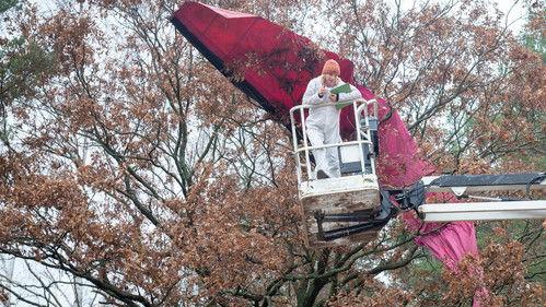 SOKO Wismar Season 17 Episode 8 - Episode 8