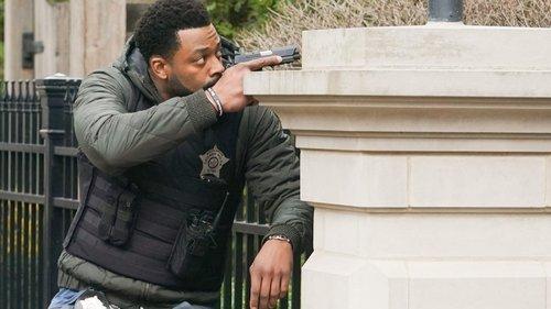 Chicago P.D. Season 9 Episode 19 - Fool's Gold