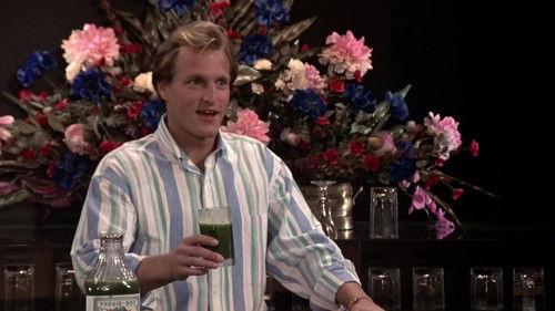 Cheers Season 9 Episode 9 - Veggie-Boyd