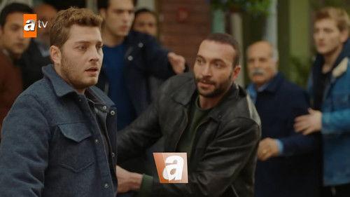 Street Birds Season 2 Episode 19 - Episode 40