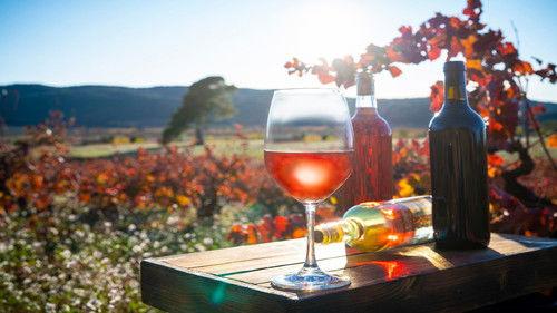 Mapping the World Season 29 Episode 3 - Viticulture on the advance