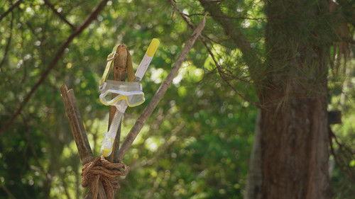 Background image for Episode 11