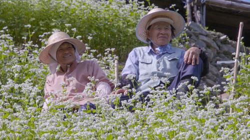 Hometown Stories Season 12 Episode 19 - Life on a Sloping Farm