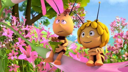 Maya the Bee Season 3 Episode 23 - Did I Say That?