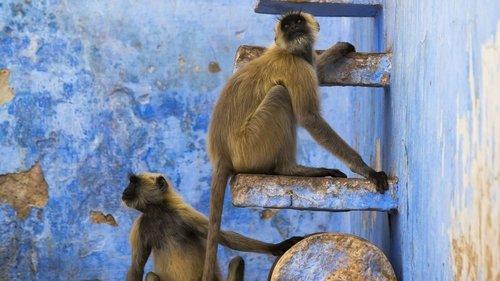 Background image for Cities