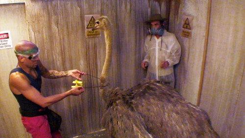 I'm a Celebrity...Get Me Out of Here! Season 15 Episode 15 - Scarier 52