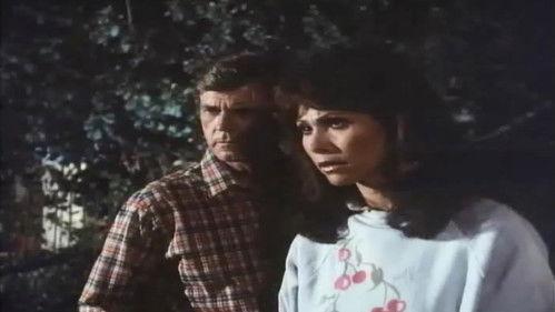 Knots Landing Season 1 Episode 13 - Bottom of the Bottle (2)